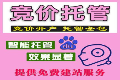 百度推广返点策略：成功案例分享